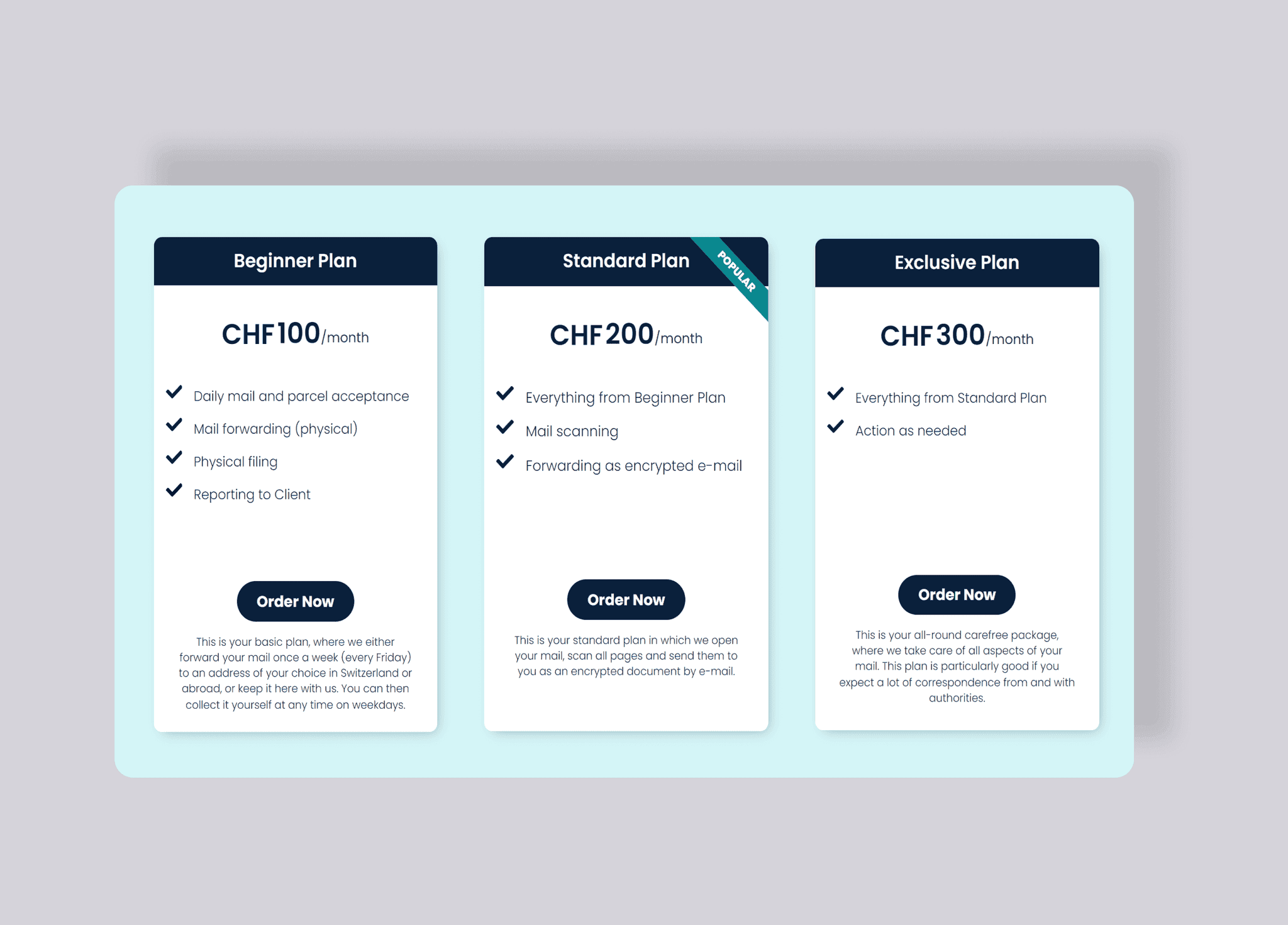 Cryptozug – Internetauftritt – Projektansicht
